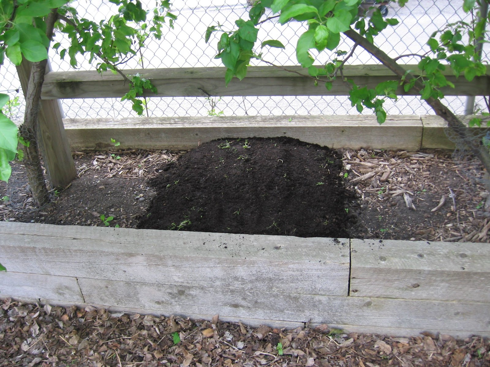 Ginkgo Organic Gardens composting and seeding