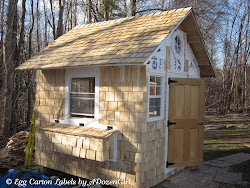 chicken coop building virtual tour dummies coops chick he shingles finished almost installation structure built ever