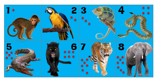 Amiscol: Jeux : " La jungle " et " La savane