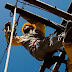 Ceron informa desligamento temporário de energia elétrica em algumas regiões de RO