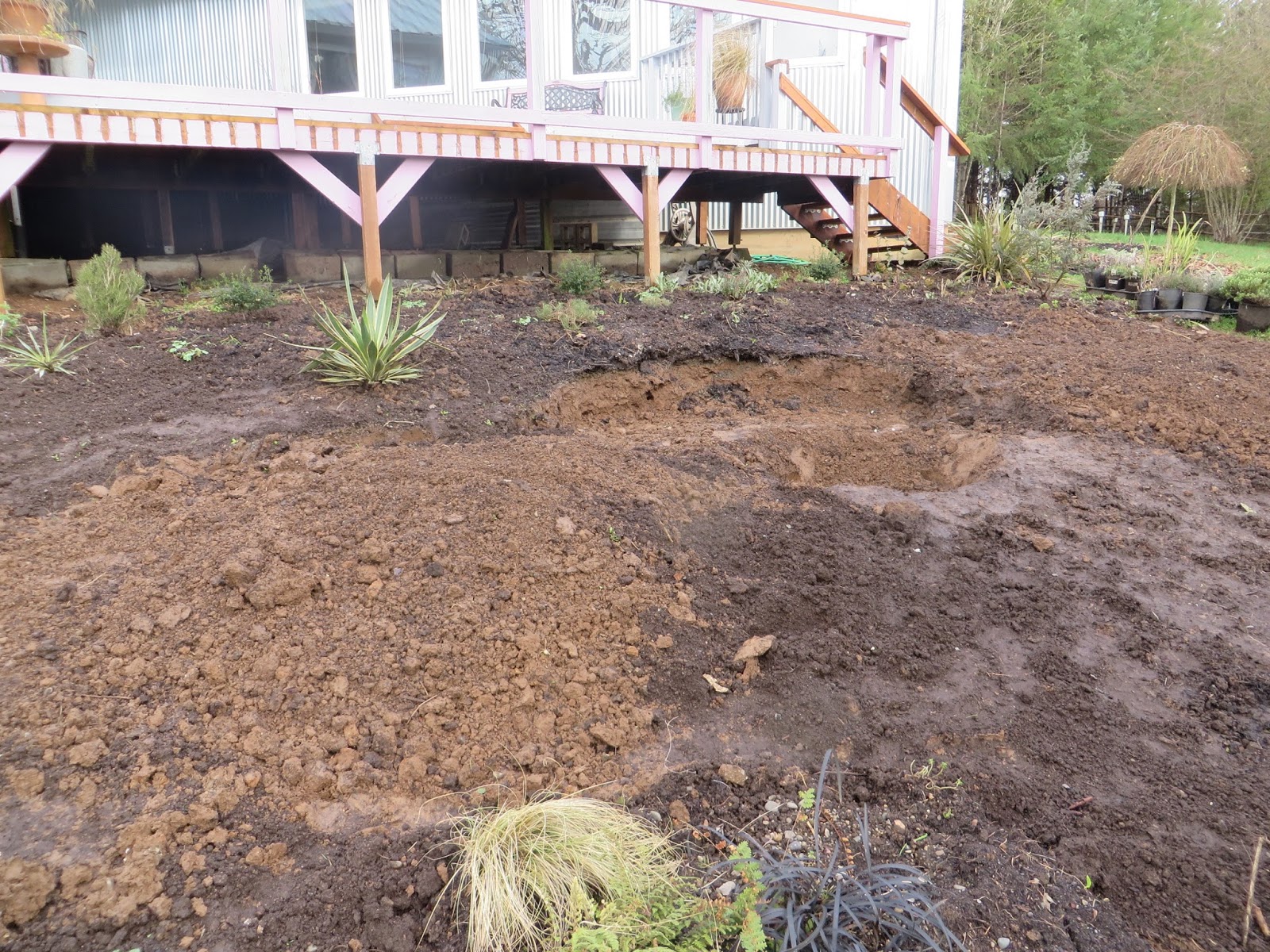 Garden Blogger S Bloom Day For May 2019
