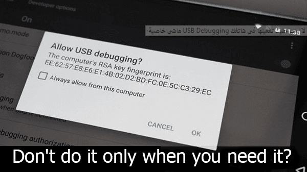 What are the USB Debugging property and discover its importance and why don't you have activated in your phone.