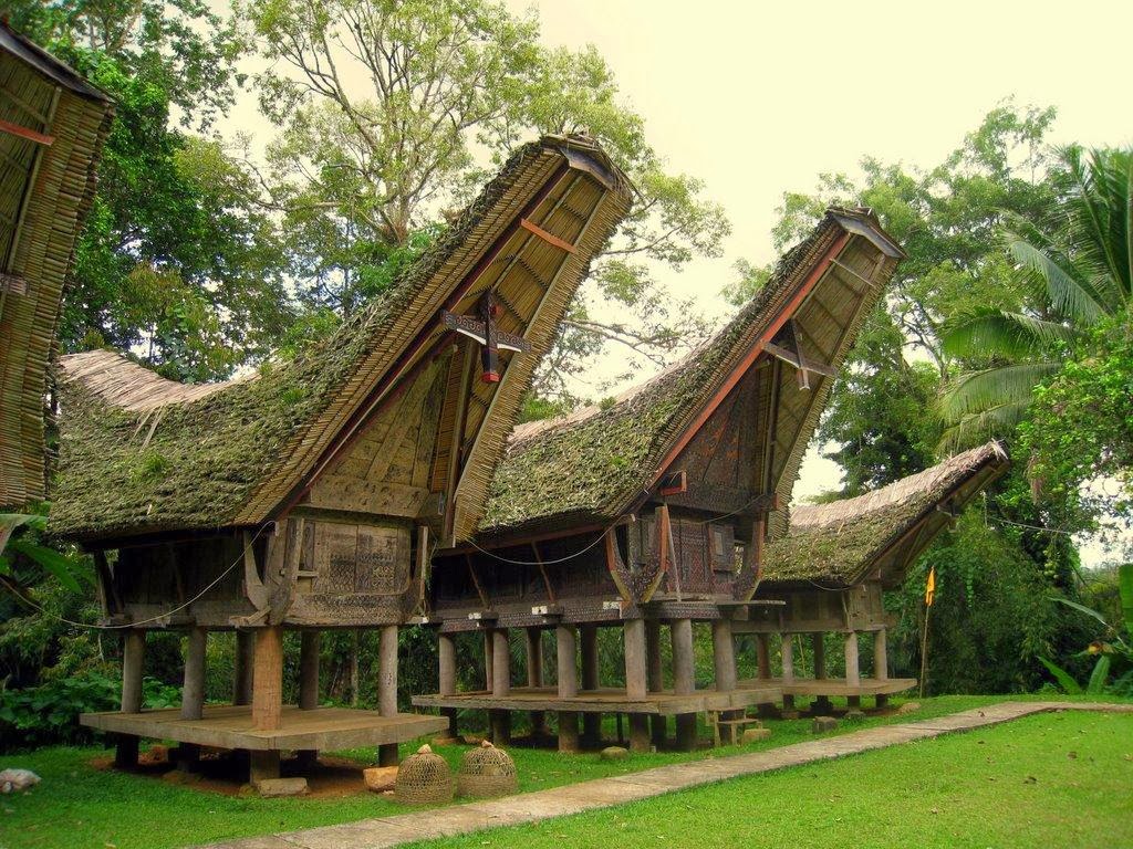 Denah Rumah Adat Toraja Sulawesi Selatan Gambar Rumah Idaman