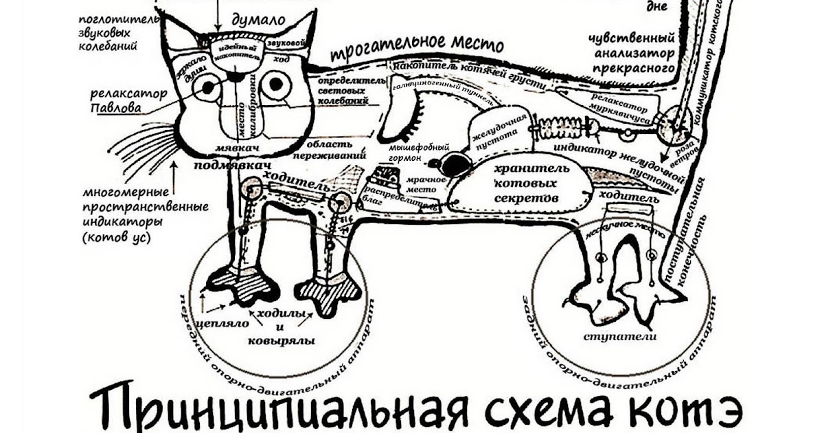 Электронная схема кот с газетой