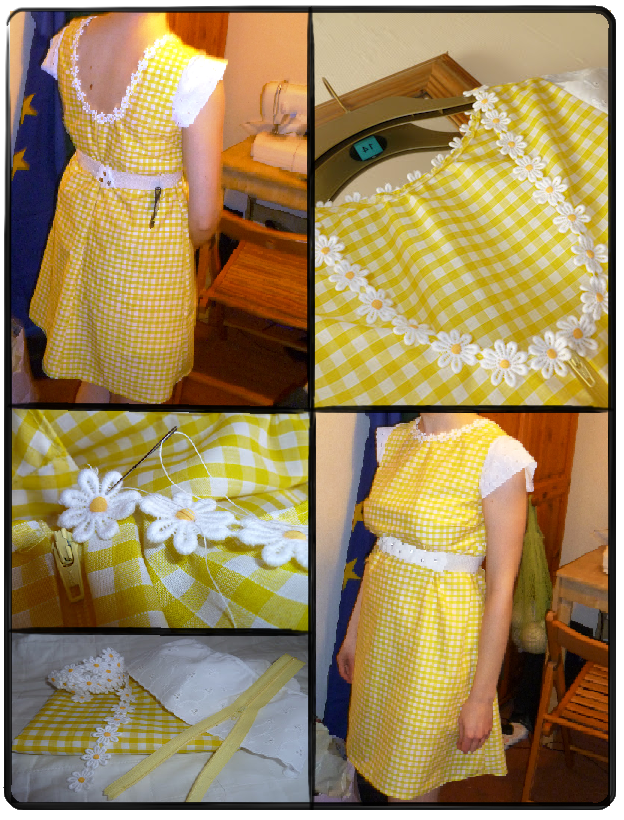 Crafty Geogopher Daisy Dress