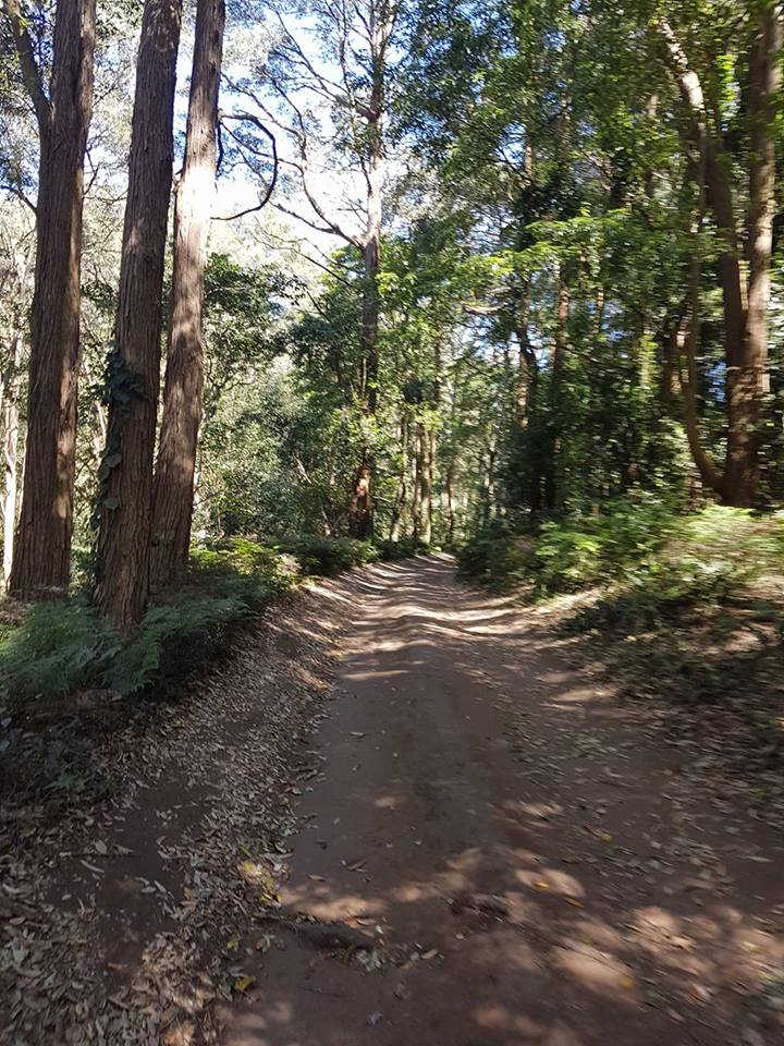 Steventure Macquarie Pass Jump Rock and Clover Hill Road