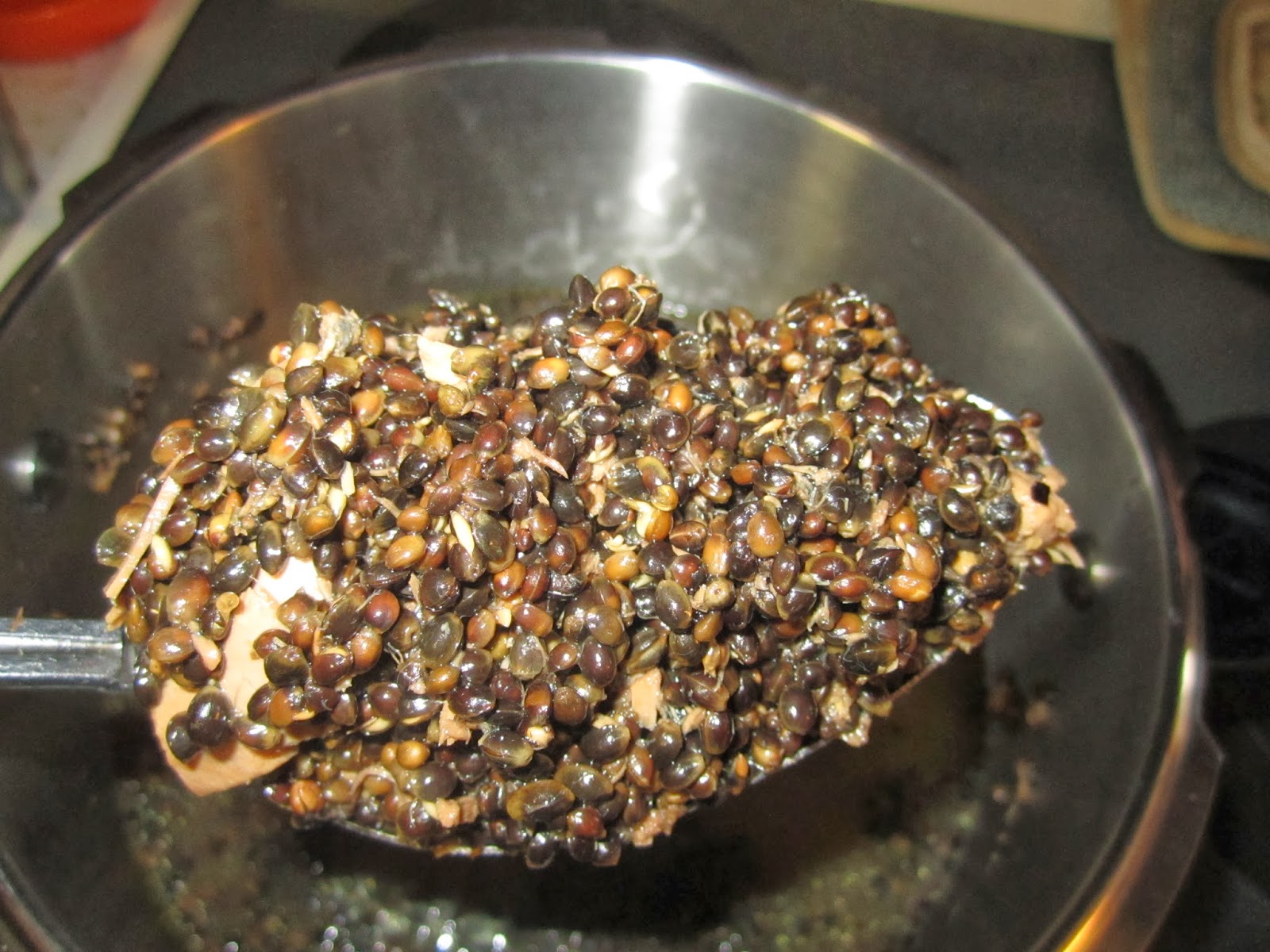 Carp Fishing Lifestyle Tuna Hemp 101 preparation and step by step video