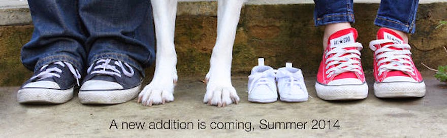 30 Of The Most Creative Baby Announcements Ever - 1 Boy, 1 Girl, 1 Dog, And A Baby On The Way