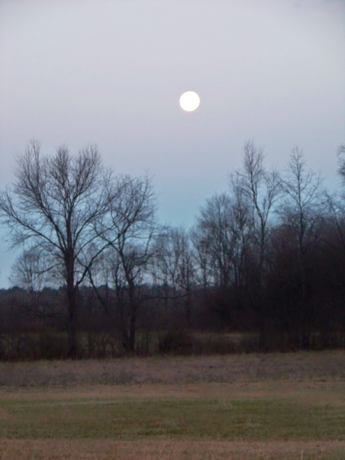 East Coast/West Coast/North Coast December Full Moon 2014