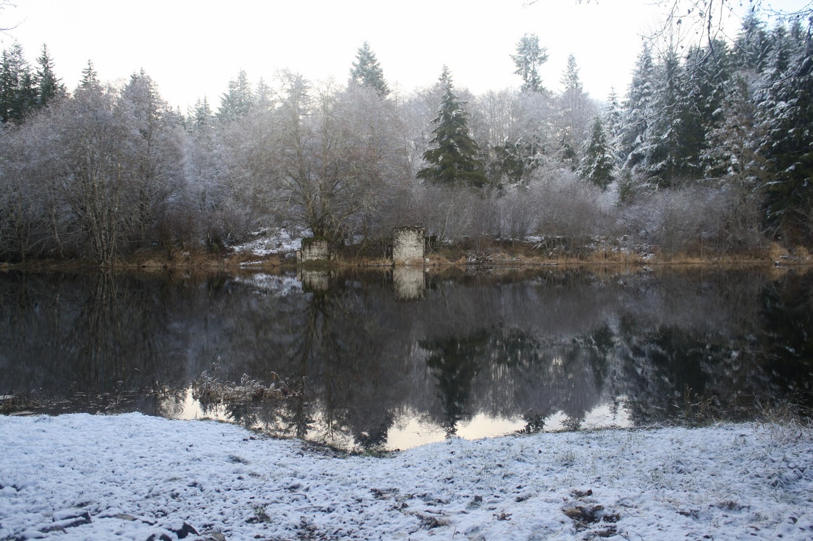 .Hike Mondays. WOLF CREEK TRESTLE HIKE Salmonberry River and the like