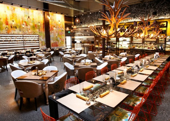 Sandiegoville Tracy Borkum Of Urban Kitchen Group Announces