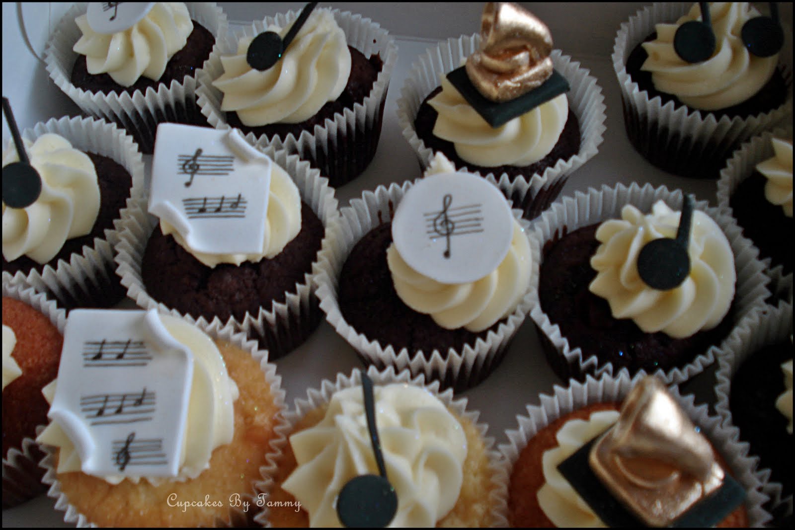 Wonderful World Of Cupcakes Music Themed Cupcakes