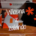 Testowanie z trnd: Wiosna z zalando!