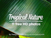 11 FREE TROPICAL NATURE PHOTOS
