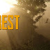 The Forest Full Game Free DowNLoaD