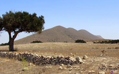 Paisajes volcánicos de Cabo de Gata