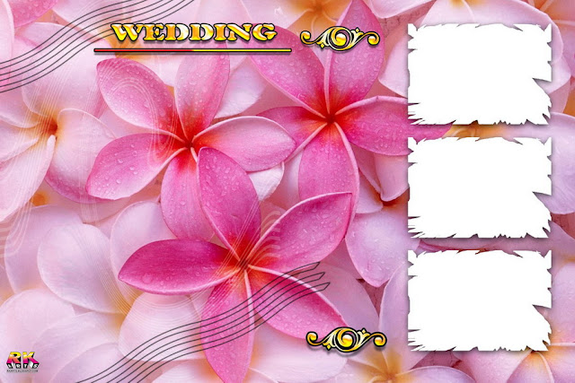 Digital Background, with pink flower background 