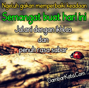 dp bbm bimbang dp bbm bimbang