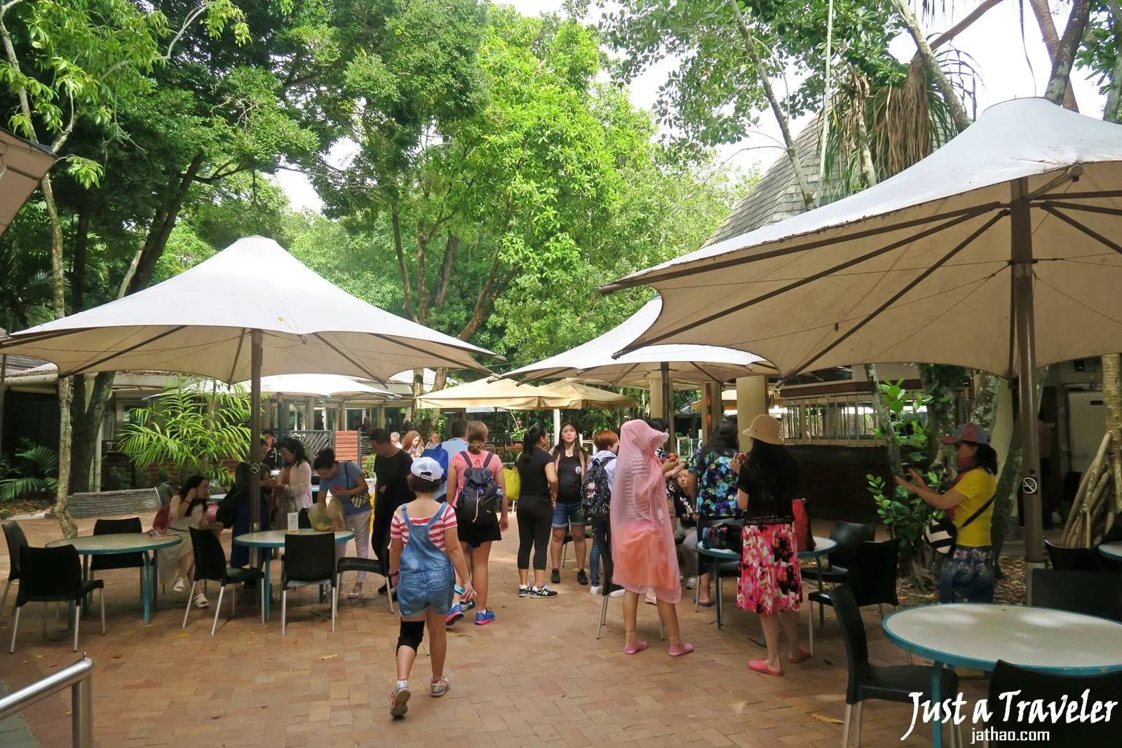 凱恩斯-大堡礁-綠島-度假村-內堡礁-推薦-旅遊-自由行-澳洲-Carins-Great-Barrier-Reef-Green-Island-Travel-Australia