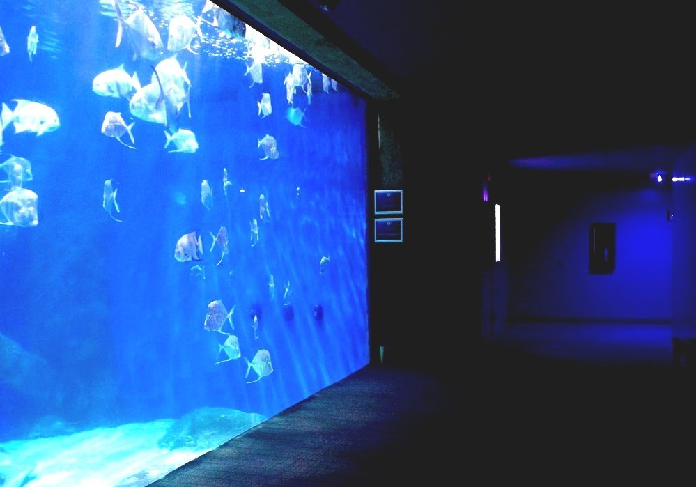 Virginia Aquarium Virginia Beach Science Museum