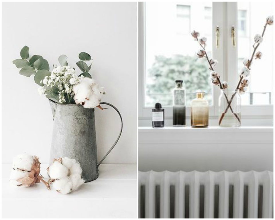 Deco Fleurs de coton Guiomarix