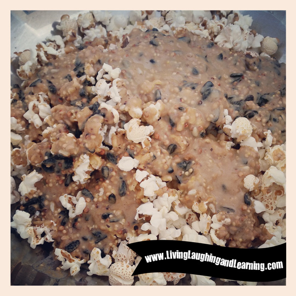Living, Laughing, and Learning Popcorn & Bird Seed Balls