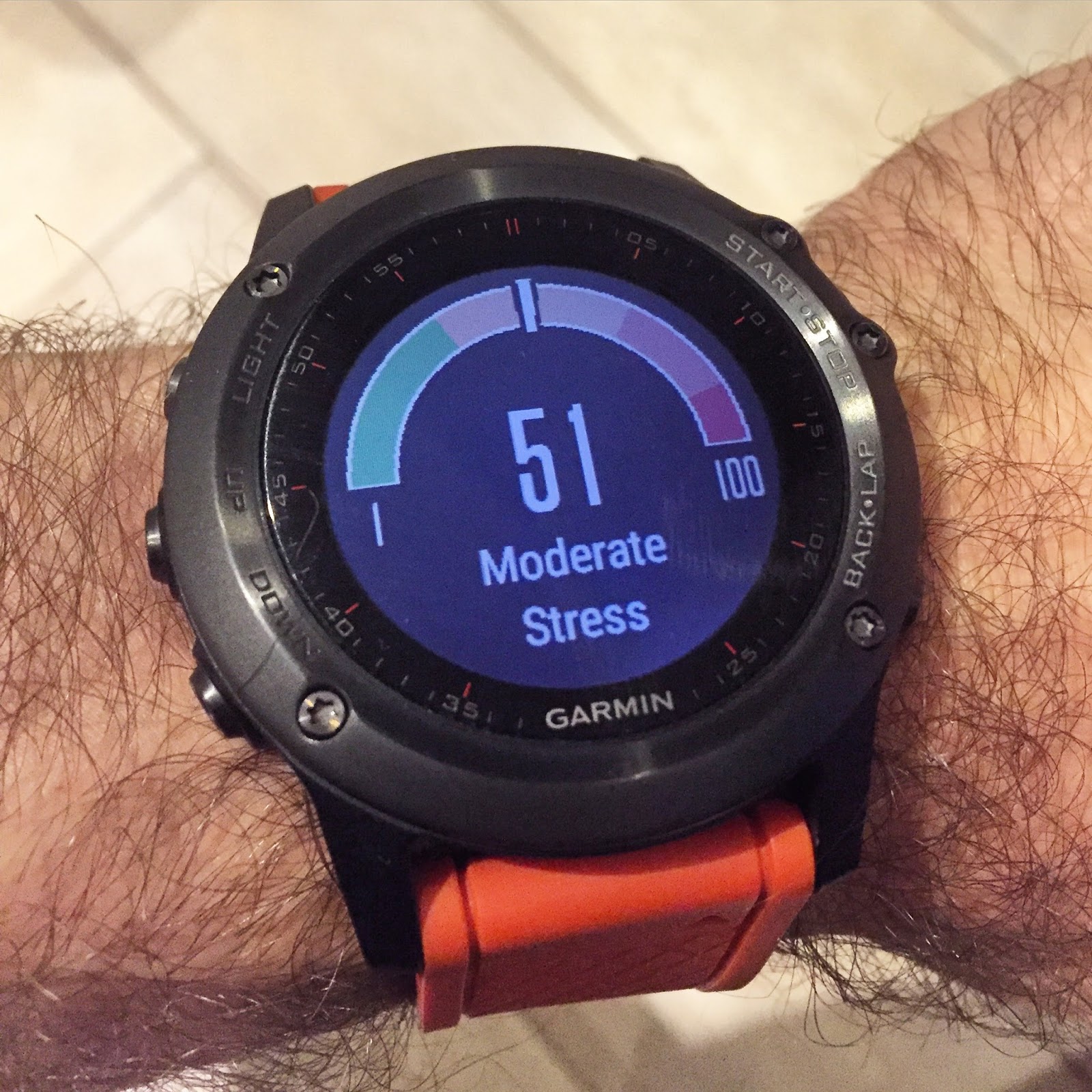garmin fenix 3 app store
