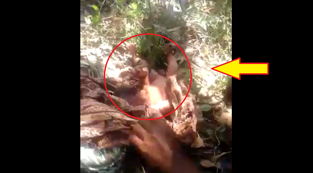 Sungguh Sadis, Bayi Mungil ini Dibuang Hidup-Hidup di Dalam Septic Tank Sungguh Sadis, Bayi Mungil ini Dibuang Hidup-Hidup di Dalam Septic Tank