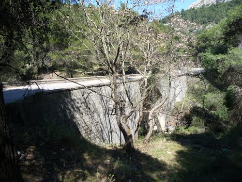 Ο «στοιχειωμένος» δρόμος της Χασιάς | 50020028