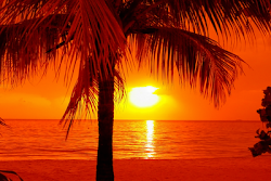 sunset tropical summer funny amazing desktop nature wallpapers exotic