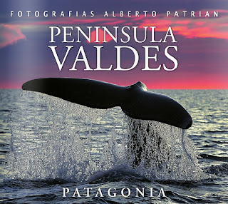  Península Valdés Fotografías de Alberto Patrián