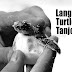 Lang Tengah Turtle Watch at Tanjong Jara