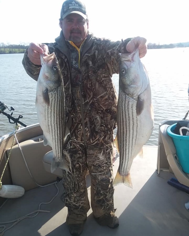 Lake Anna Striper Guide Journal Lake Anna Striper Fishing Lake Anna Striper Guide Journal Lake Anna Striper Fishing