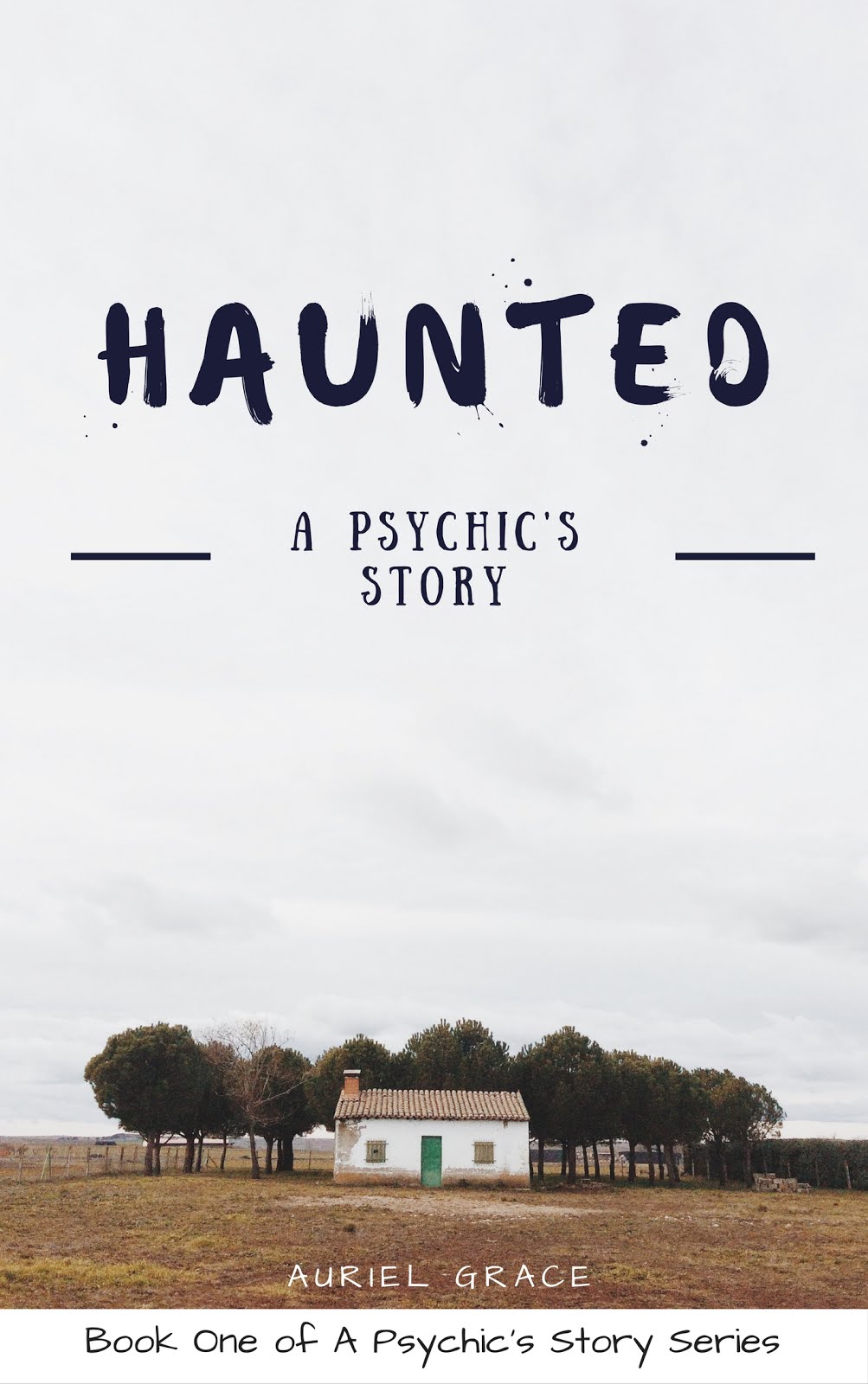 Haunted - A Psychic's Story