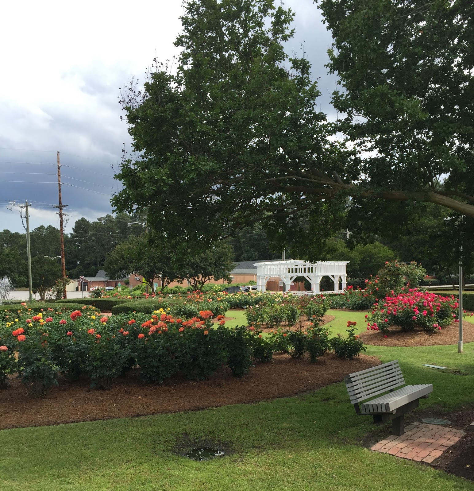 Is Your Fayetteville Garden Failing This Will Change Everything - ia7pozd