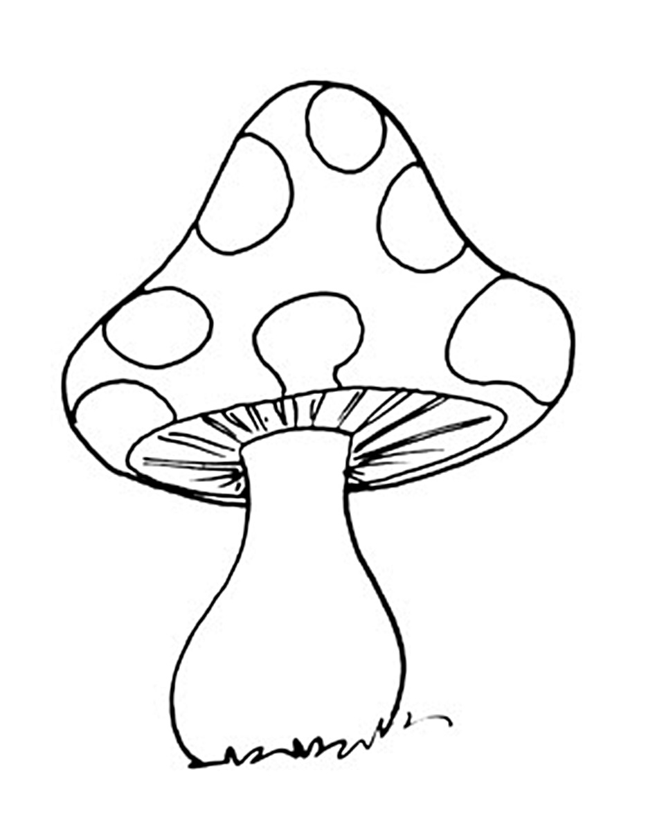 Riscos graciosos (Cute Drawings) Riscos de cogumelos e casinhas