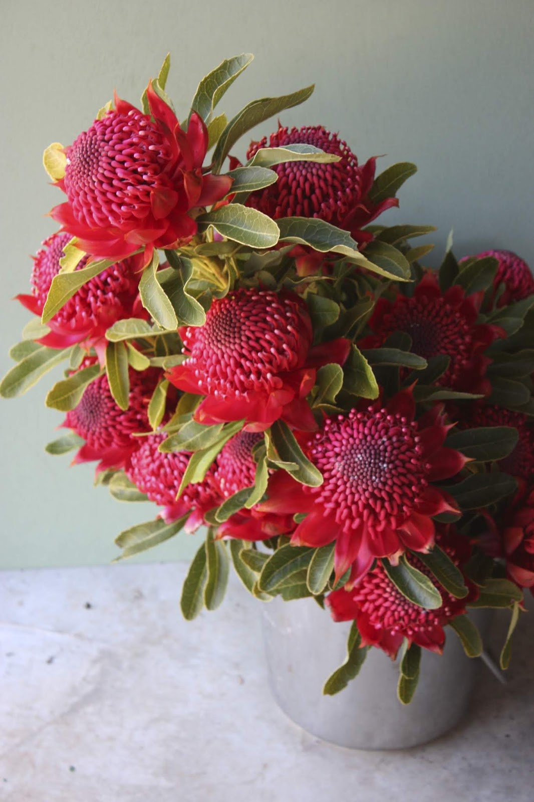 Swallows Nest Farm November Flowers