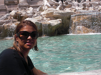 Fontana de trevi / Itália