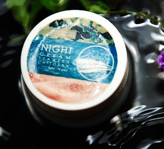 Ready Night Cream Seaweed Chitosan Ready Night Cream Seaweed Chitosan
