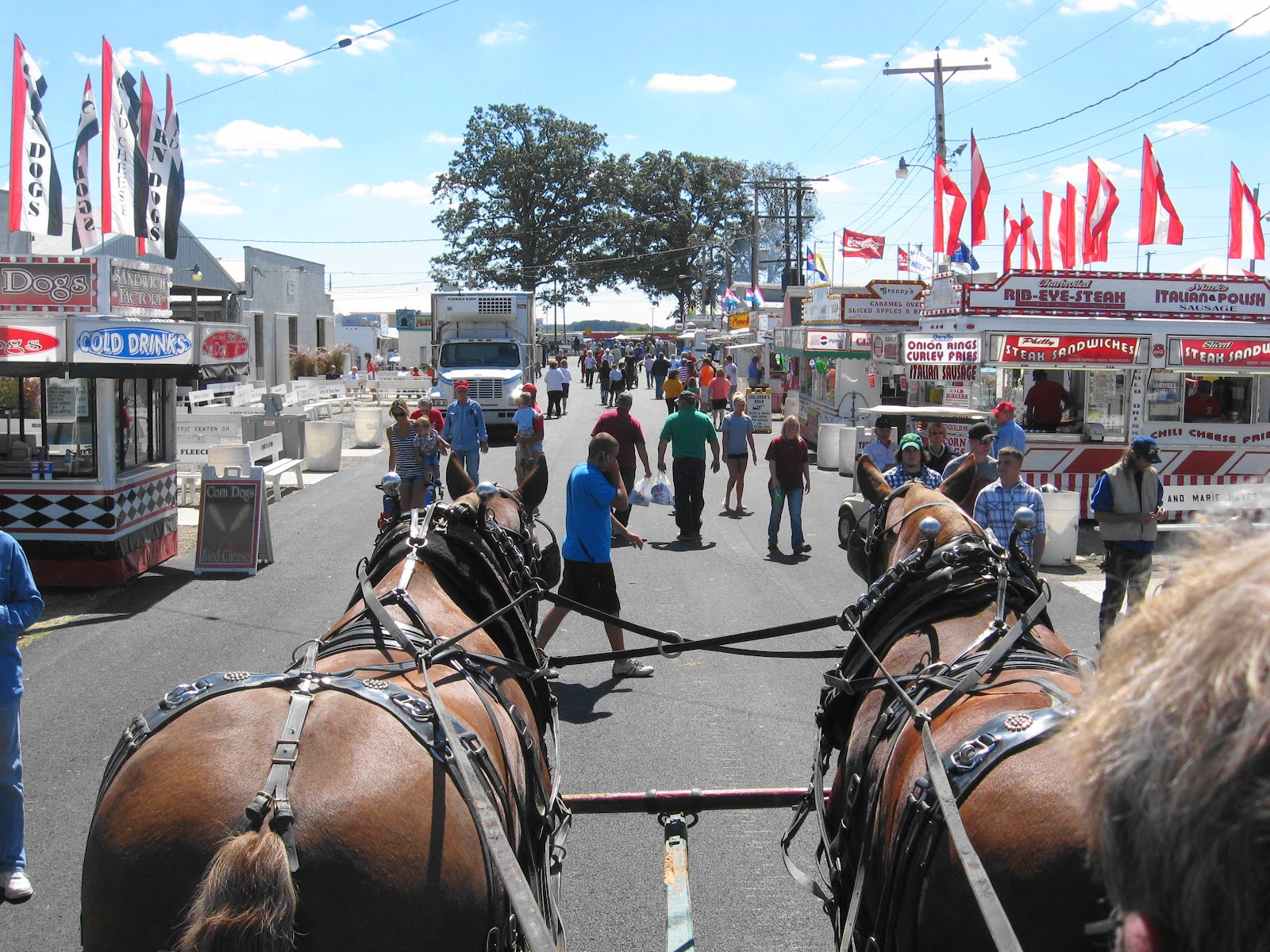 It Is What It Is Hardin County Fair 2012 Day One (Heat & Umbrellas