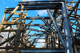 Twisted Timbers at Kings Dominion POV