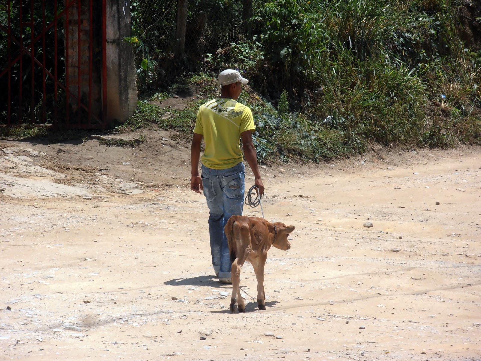 Piano piano si arriva lontano Lebrija (Colombia)