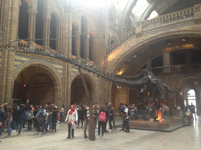 Natural History Museum Hall, London journaljose.blogspot.com / petiteetgrandebretagnes.blogspot.com