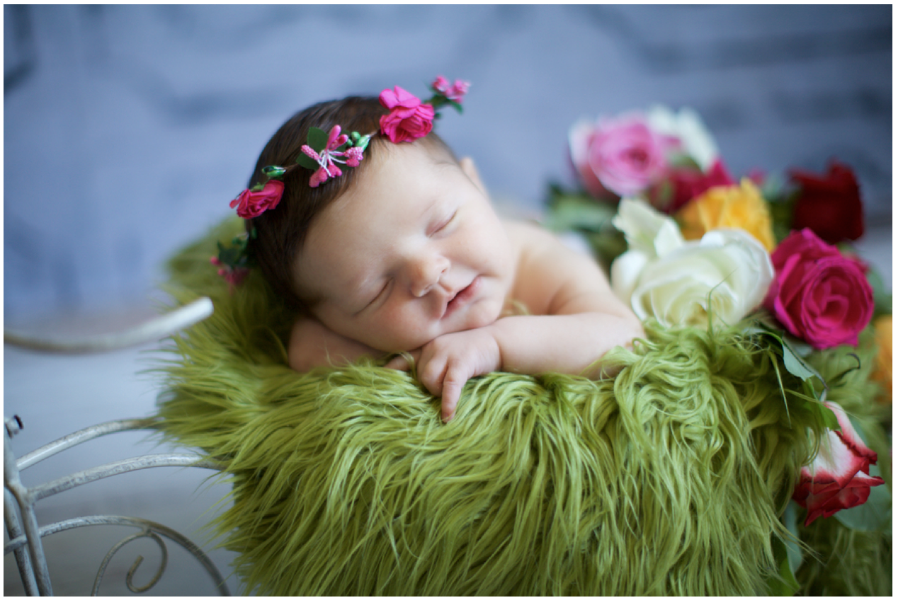 Home Confetti Garden Themed Newborn Photo Shoot