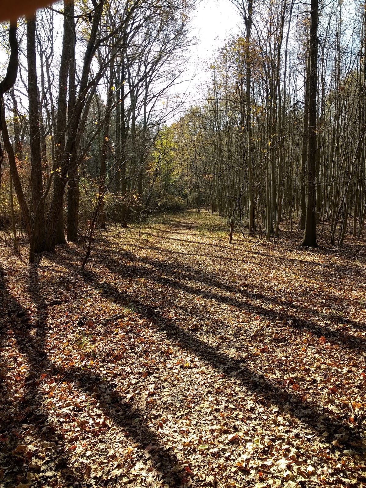 Marshy Point Nature Center Trails Marshy Point Nature Center Trails
