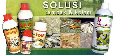 http://www.organiknusantara.com/2014/05/tingkatkan-bobot-ikan-cara-organik.html http://www.organiknusantara.com/2014/05/tingkatkan-bobot-ikan-cara-organik.html