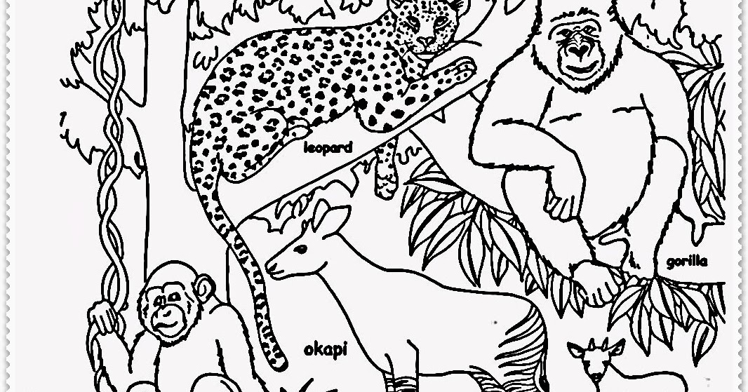Realistic Jungle Animal Coloring Pages Realistic Coloring Pages