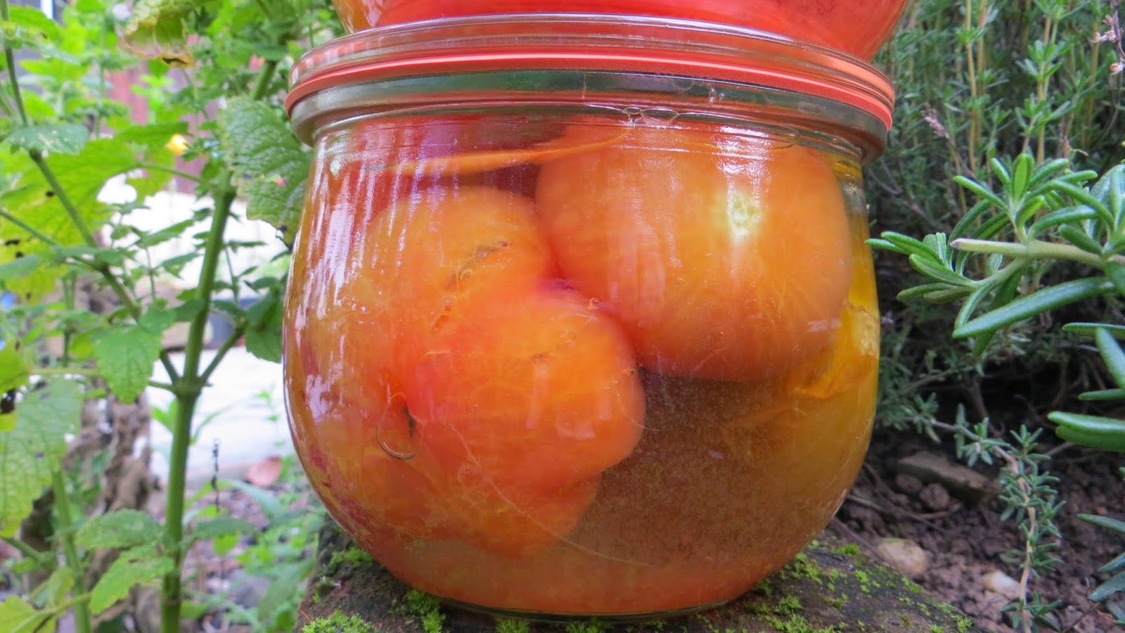 Tomaten Einkochen Weckgläser