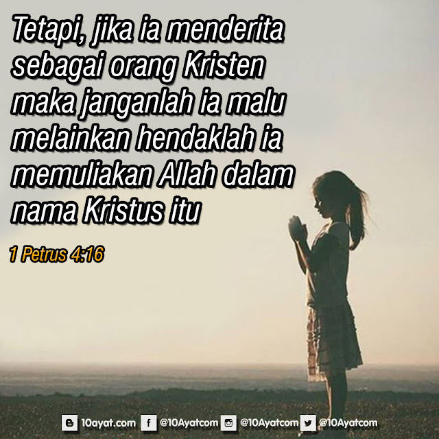 1%2BPetrus%2B4 16