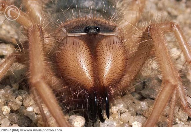 My Life With Mr. Rogers: July 2011